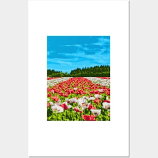 Queen's Garden - Landscape Posters and Art